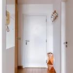 New Stylish Grand Place Center Duplex Apartment Brüssel