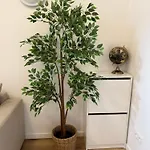 Cozy South-up And Ground Apartment
