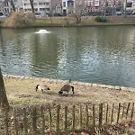 דירה Le Flagey Place בריסל