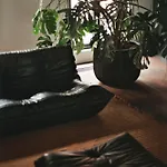 Teddy Picker Homestay Brussels
