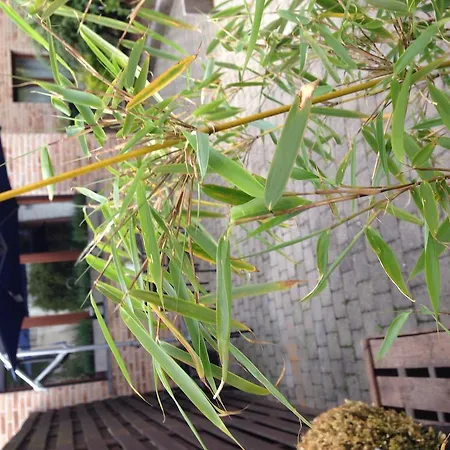 Appartamento Easyway To Sleep