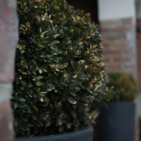 Easyway To Sleep Appartamento