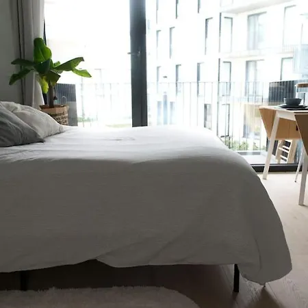 Apartamento New Centre Ville Dansaert - Magnifique Flat Cosy Bruselas