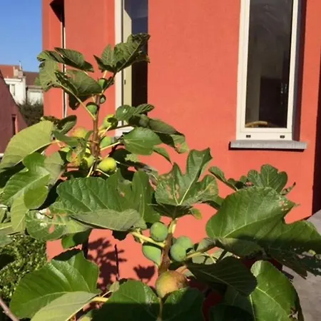 Duplex A Bxl Διαμέρισμα