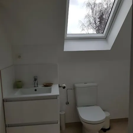 Maison Des Fleurs ブリュッセル