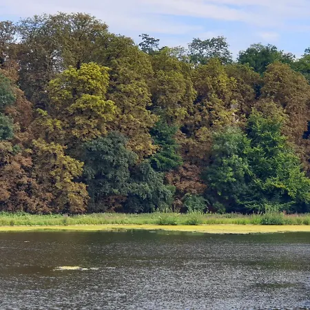 Maison Des Fleurs ゲストハウス