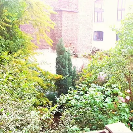 Just-Renovated Small Studio Apartment *