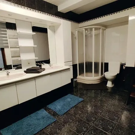 公寓 Modern Duplex 100m2 Perfect To Visit 布鲁塞尔