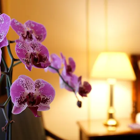 מלון Le Plaza בריסל