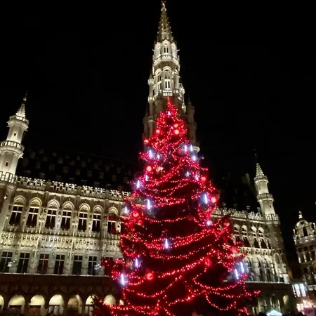 Cinquantenaire Appartement Brussel