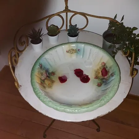Apartment Summer Love In