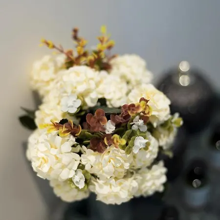 Luxury 3 Bedrooms Townhouse In Perfect Location Brussels