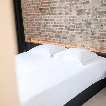 Spacieuse Maison De Ville Proposant 3 Aux Alentours Des Etangs D'ixelles Lejlighed Bruxelles