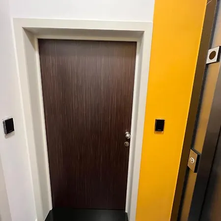 Luxury Brand New Apartment