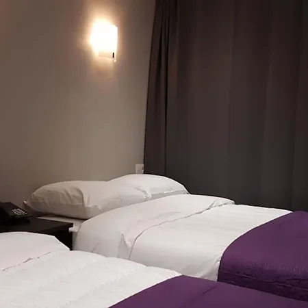 سيتي سنتر 2* بروكسل
