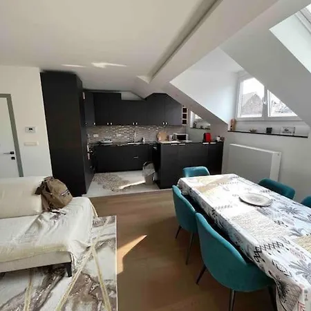 Duplex Avec Terrasse Quartier Europeen ブリュッセル
