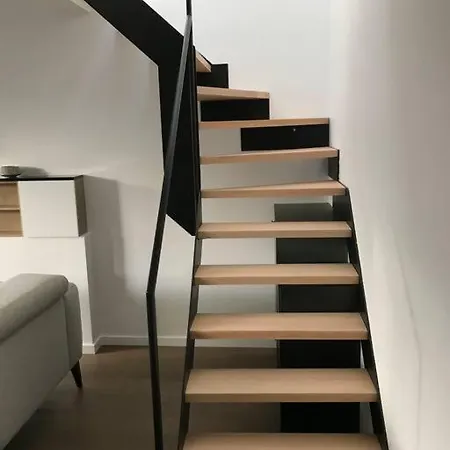 Duplex Avec Terrasse Quartier Europeen アパート *