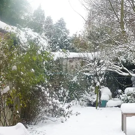 Spacious In Brussels, Large Private Garden Lejlighed *