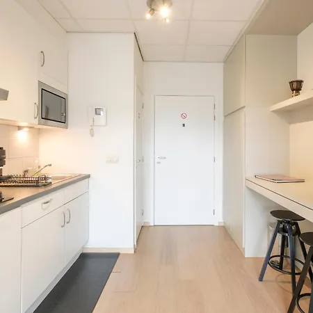 Apartament Beau Dans Le Centre De Bruksela