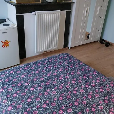 Confortable Avec Un Lit Double A Schaerbeek Cle Bleu בריסל