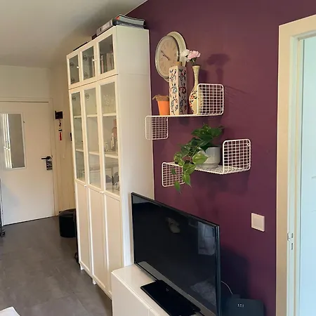 One Bedroom Fully Equipped With Terrace Daire *