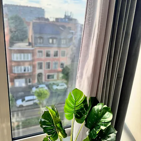 Luys * Βρυξέλλες