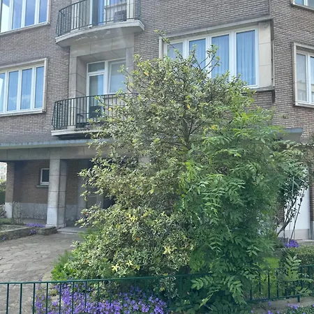 Appartement Ixelles 2 Chambres, 3 Lits *