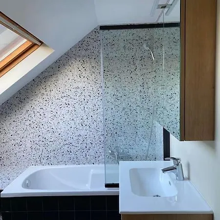 Spacieux Duplex D'architecte Bruxelles