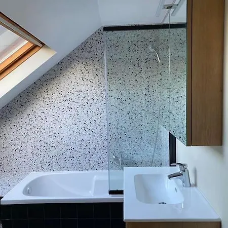 Spacieux Duplex D'architecte Брюссель