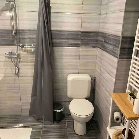 Avec Terrasse Privee Et Garage Rez De Chaussee Lumineux דירה בריסל