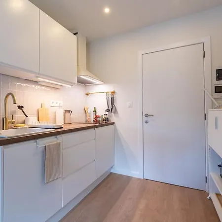 Charmant Studio City Center Brüksel