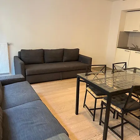 Appartement Center Flat Brussel