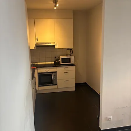 Charming With Balcony Views 布鲁塞尔