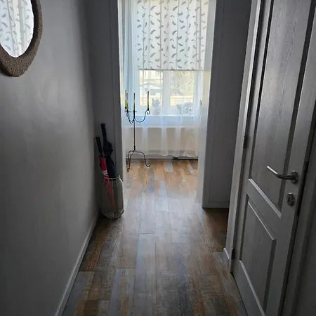 Balsamine * Bruxelles