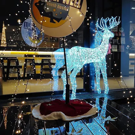 斯利普维尔青年旅馆 *