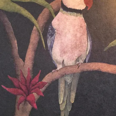 Cosy Jacqmain Βρυξέλλες