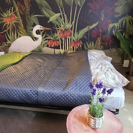 Cosy Jacqmain * Βρυξέλλες