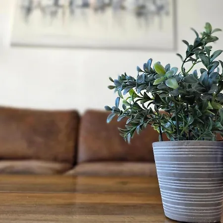 Bxl With Views 公寓