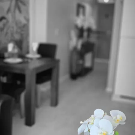 Cosy Appartement Bruxelles