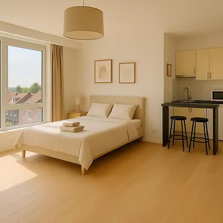 Lumineux Flat - Louise Apartment Brussels