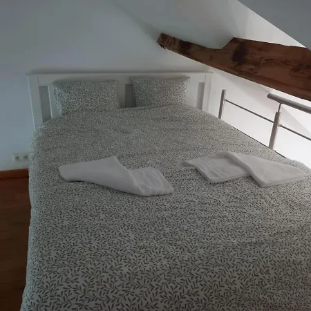 Maison Du Cinquantenaire - The Jubilee Loft Appartement *