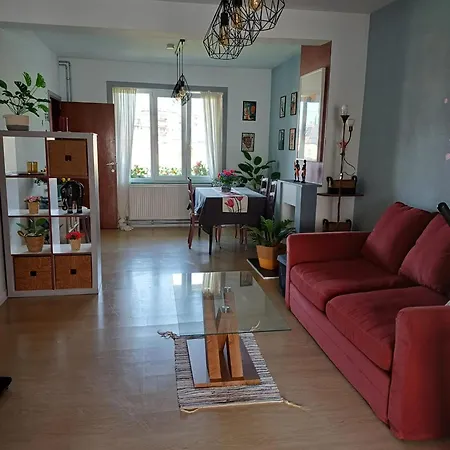 Apartamento With Terrace In Berchem-sainte-agathe *
