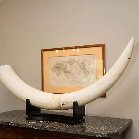 The Castle ヴィラ ブリュッセル