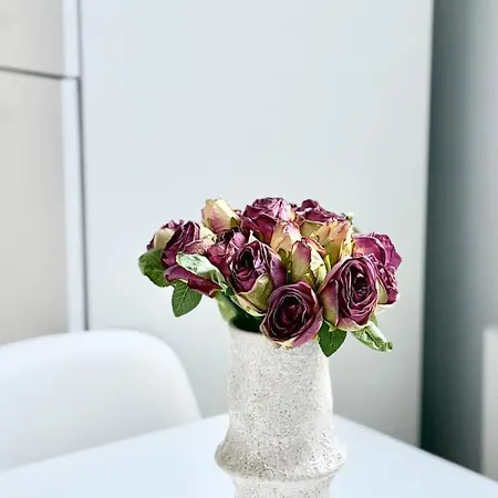 Slow Moments In Bruselas