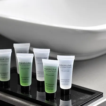 アジェンダ ルイーズ ホテル 3*