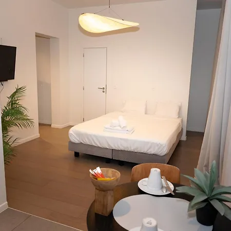 402 Avenue Louise Apartment Brussels