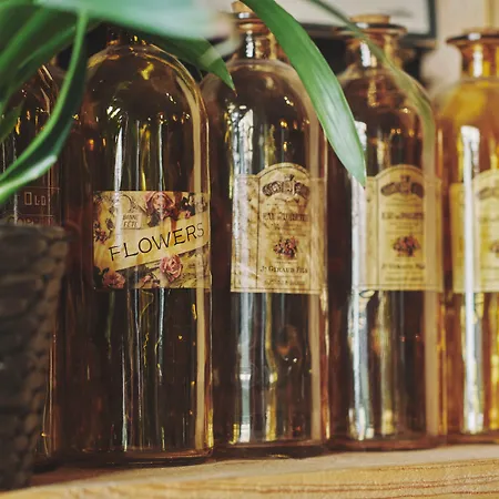 Albergue The Legacy By 2go4 Center