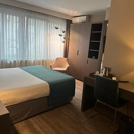 アジェンダ ルイーズ