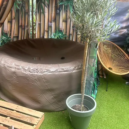 Tropical Bed & Breakfast