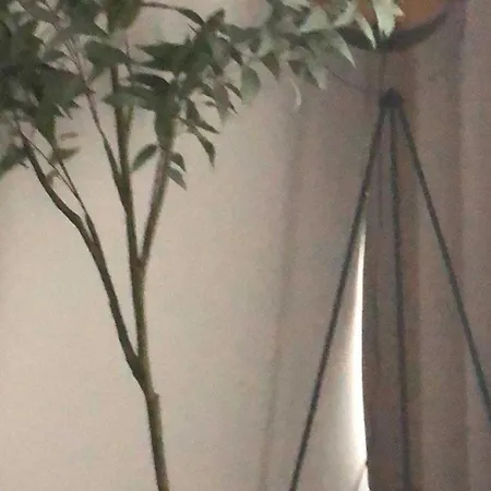 Feel Good Apartment